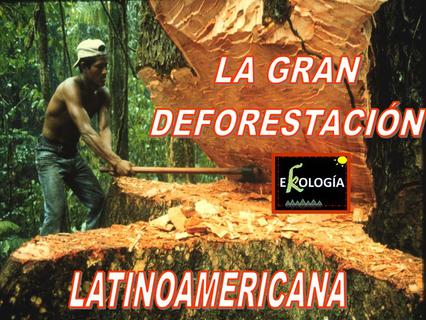 deforestacion - Ekologia.com.ve